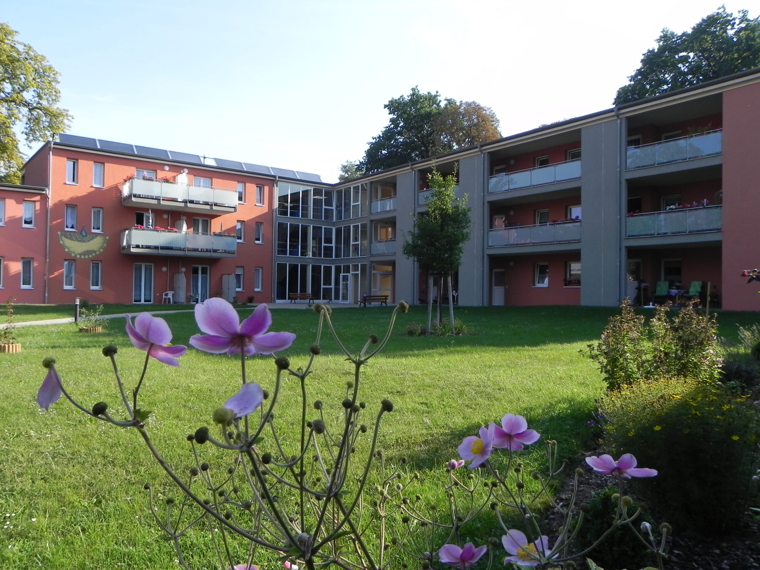 Garten mit Blumen am Hahnemanstift Köthen