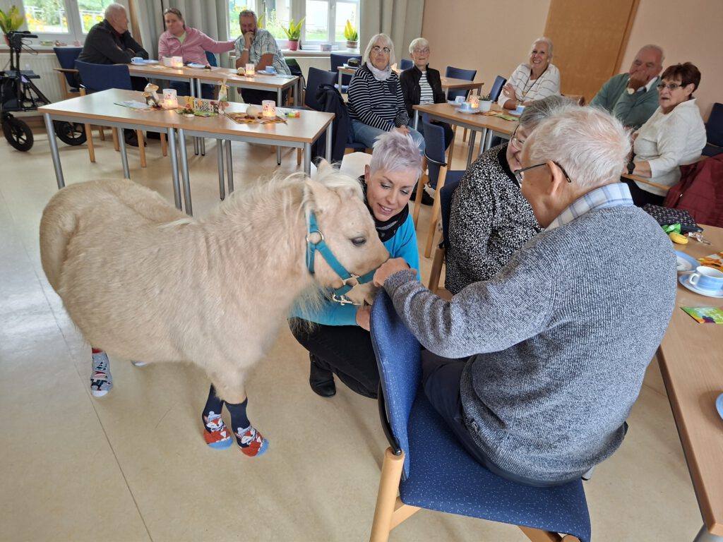 Hospiztag 2025 in der Lutherstadt Eisleben, ein Zwergpony kommt zu den Besuchern