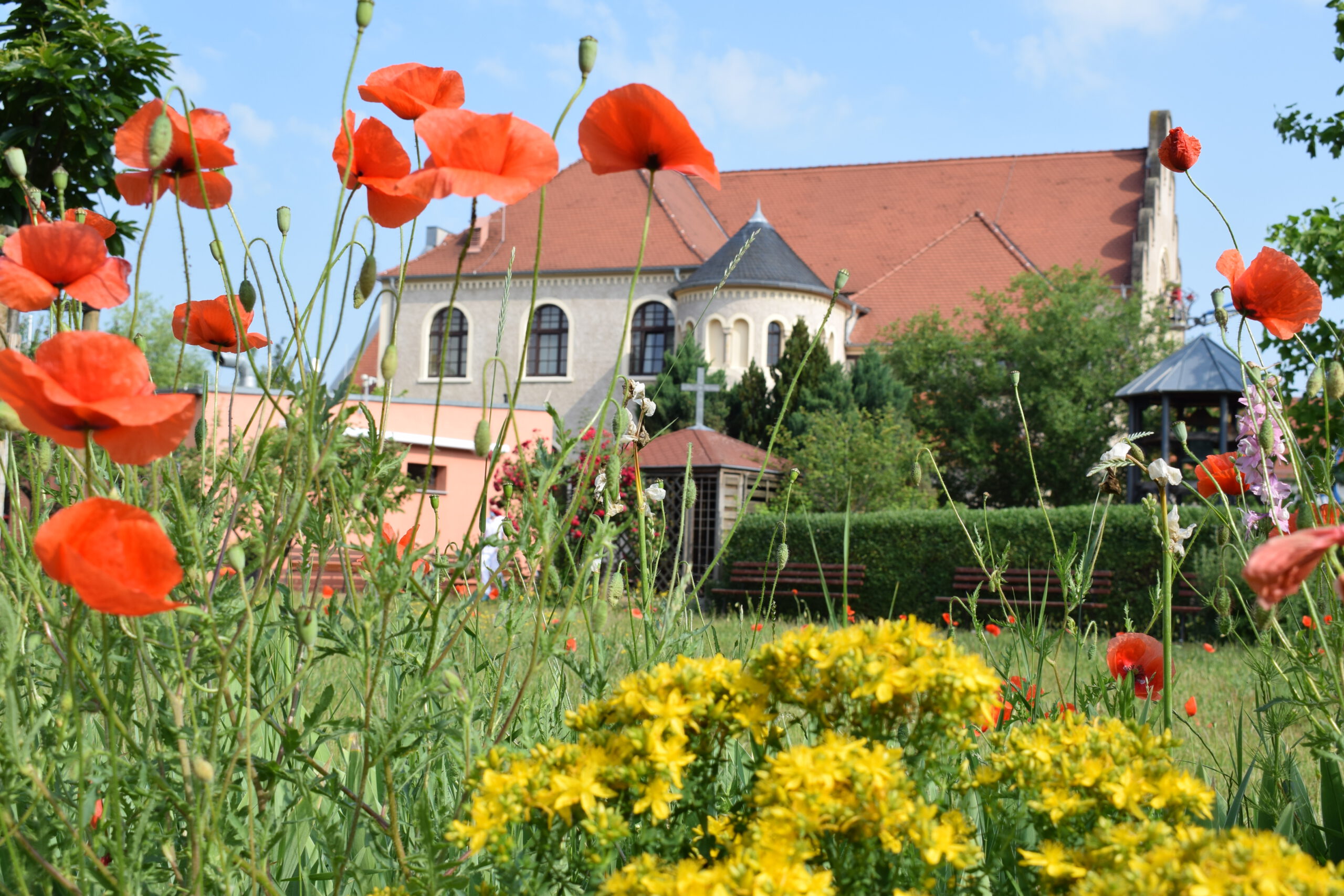 Gemeindehaus Bernburg mit Blumen im Vordergrund